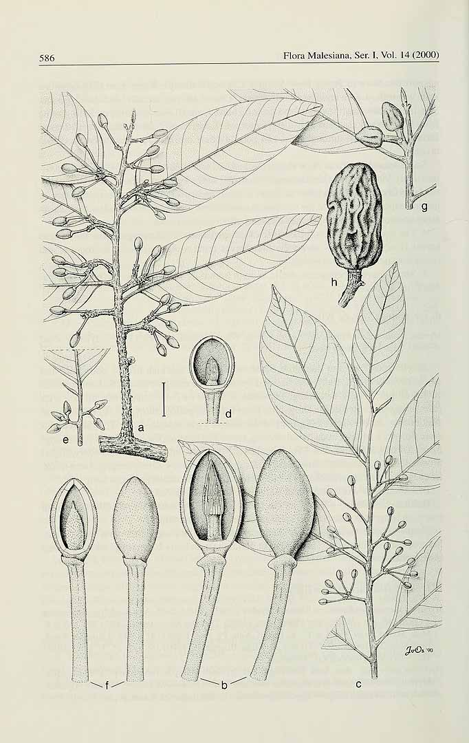 no HD illustration available (3)