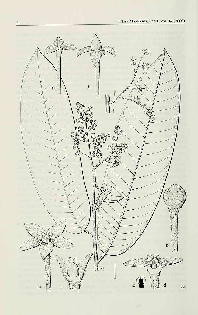 no HD illustration available (3)