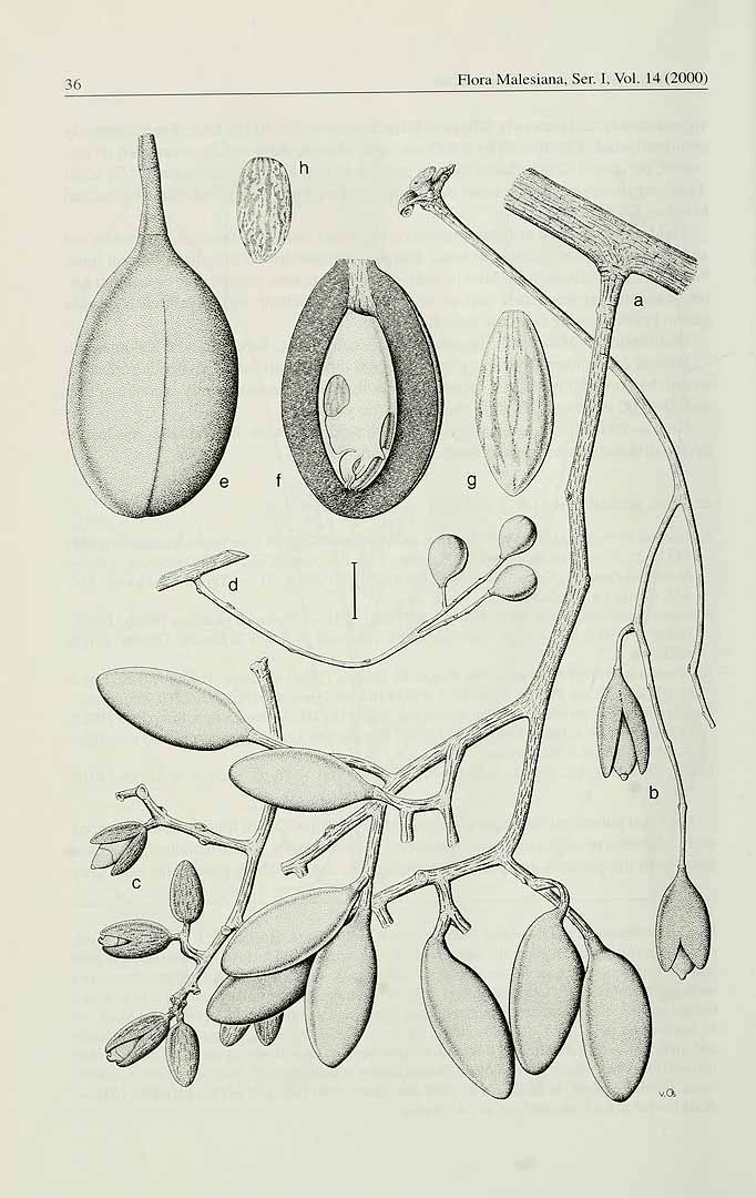 no HD illustration available (3)