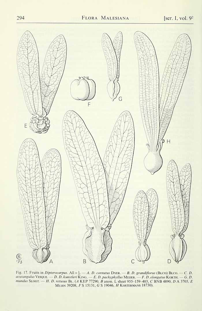 no HD illustration available (3)