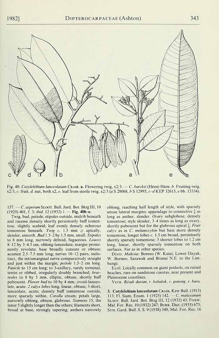 no HD illustration available (3)