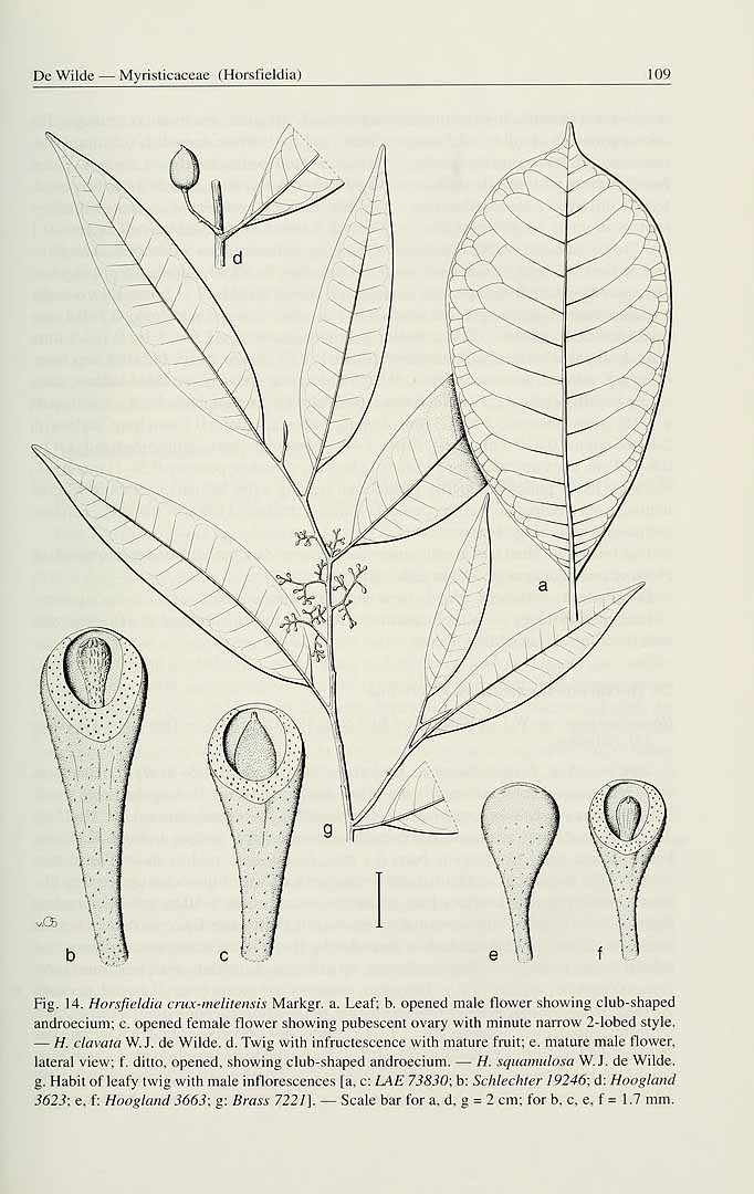 no HD illustration available (3)