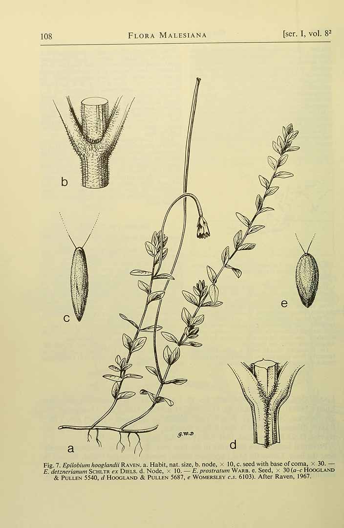 no HD illustration available (3)