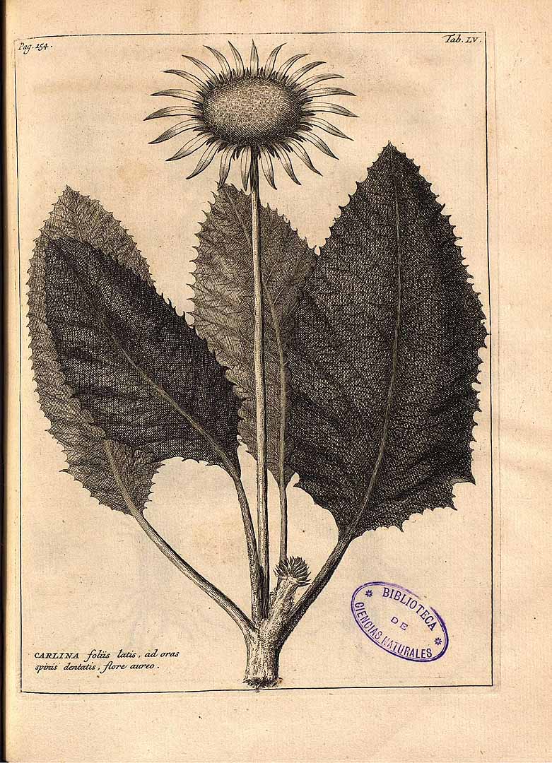 no HD illustration available (3)