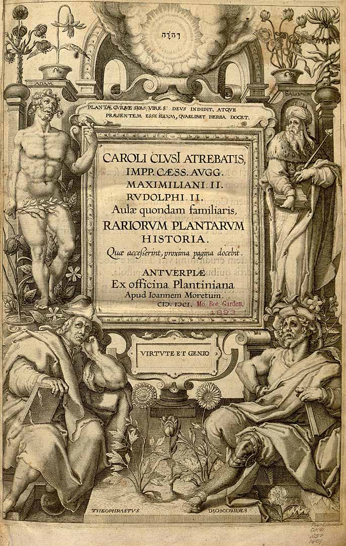 no HD illustration available (3)