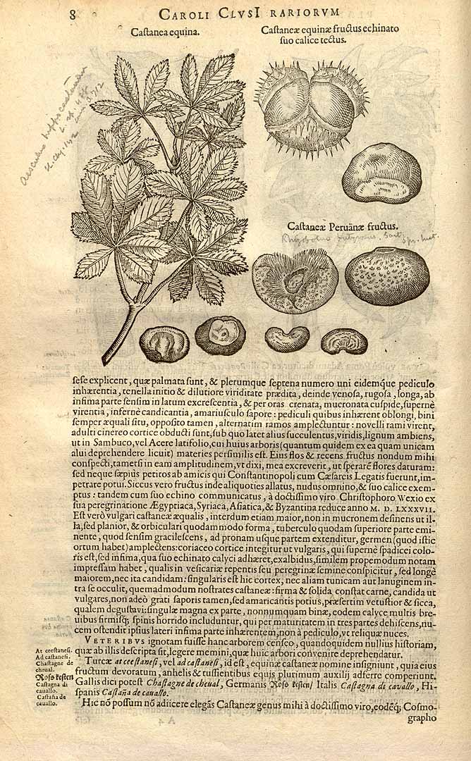 no HD illustration available (3)