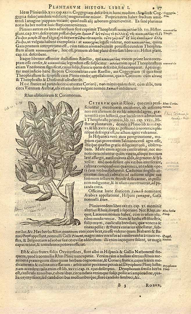 no HD illustration available (3)