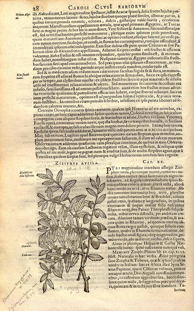 no HD illustration available (3)