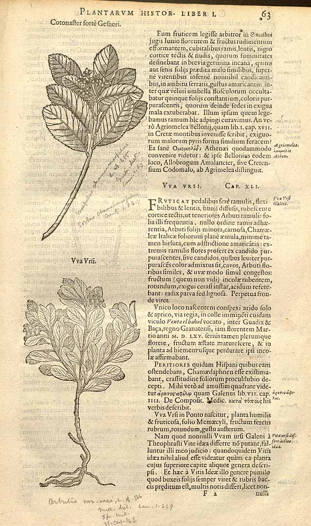 no HD illustration available (3)