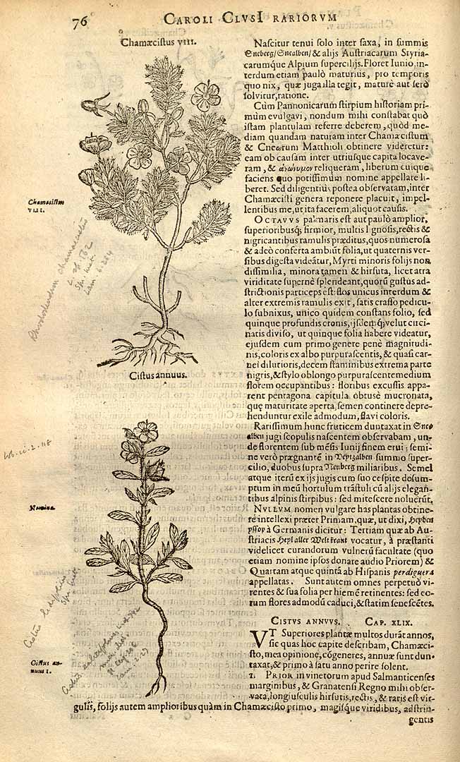 no HD illustration available (3)