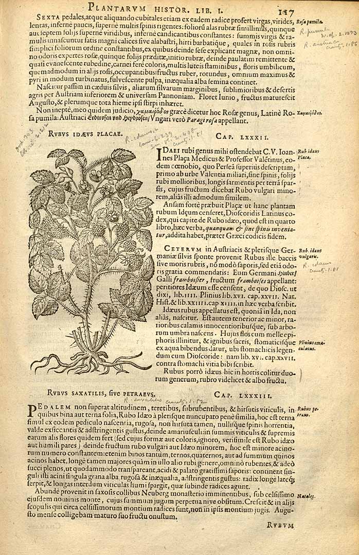 no HD illustration available (3)