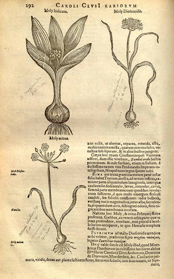 no HD illustration available (3)