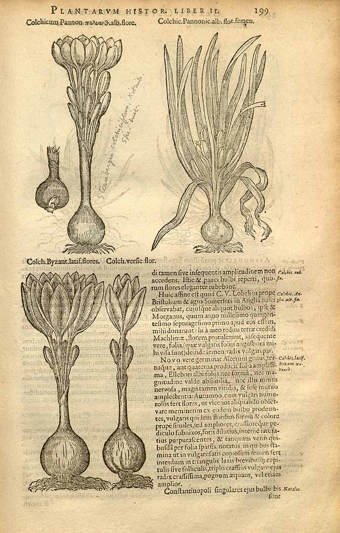 no HD illustration available (3)