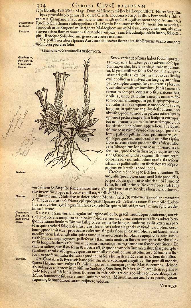 no HD illustration available (3)