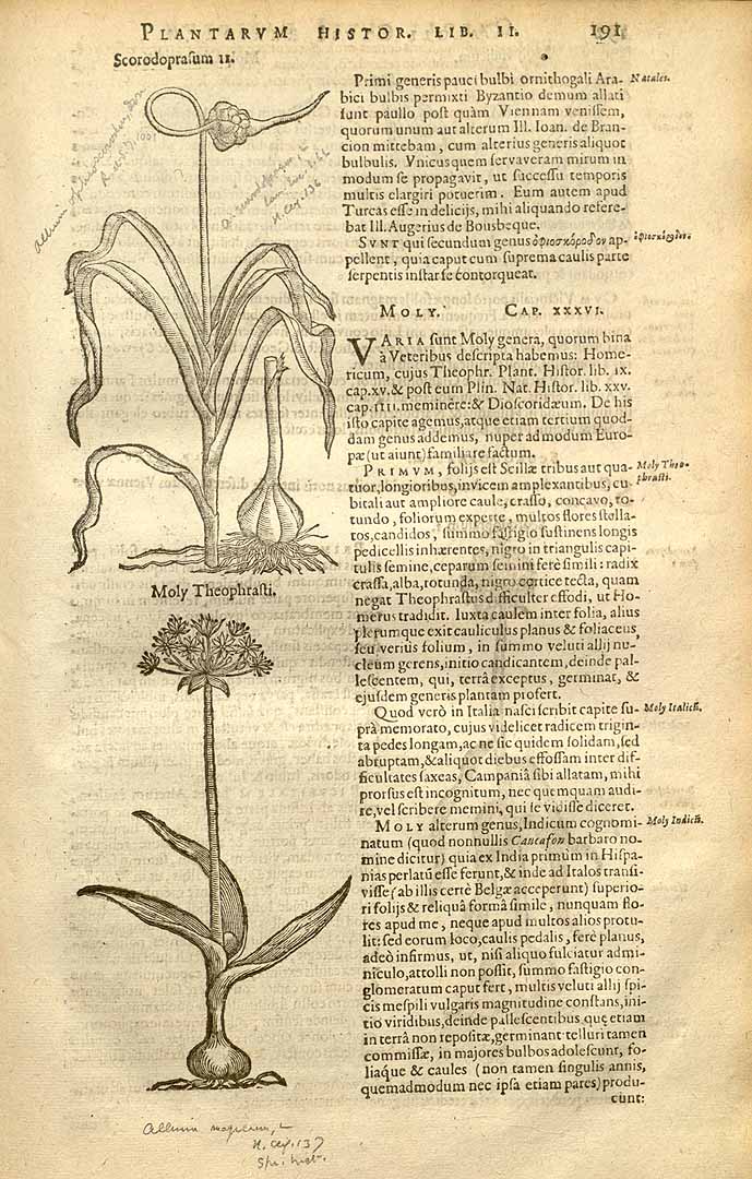 no HD illustration available (3)