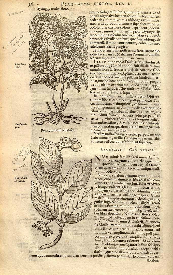 no HD illustration available (3)