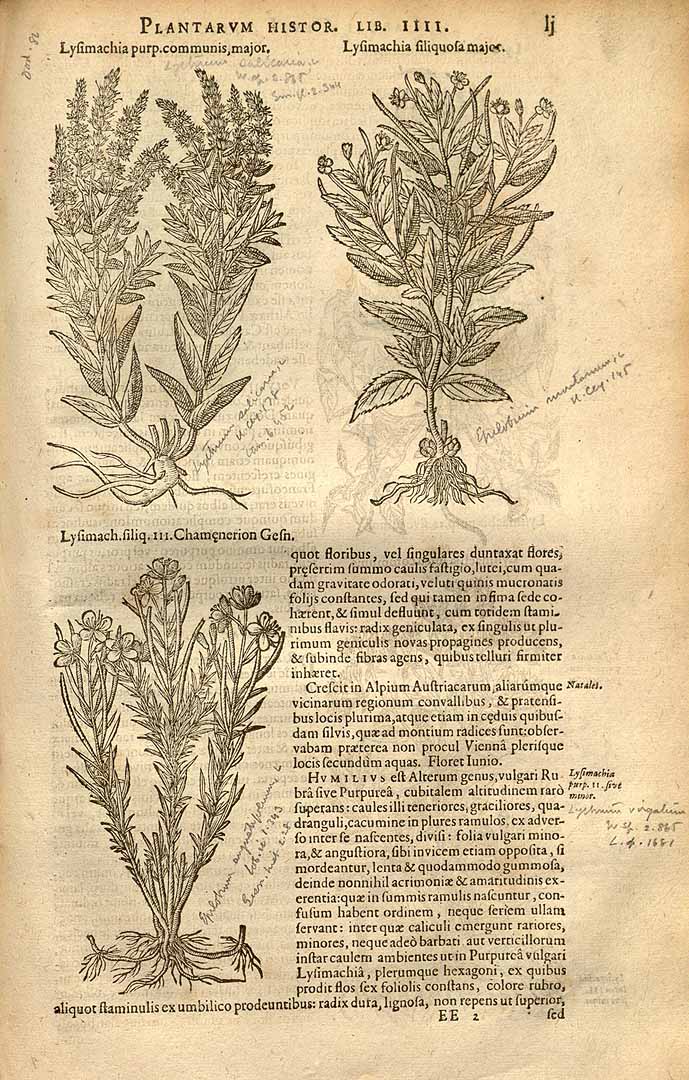 no HD illustration available (3)