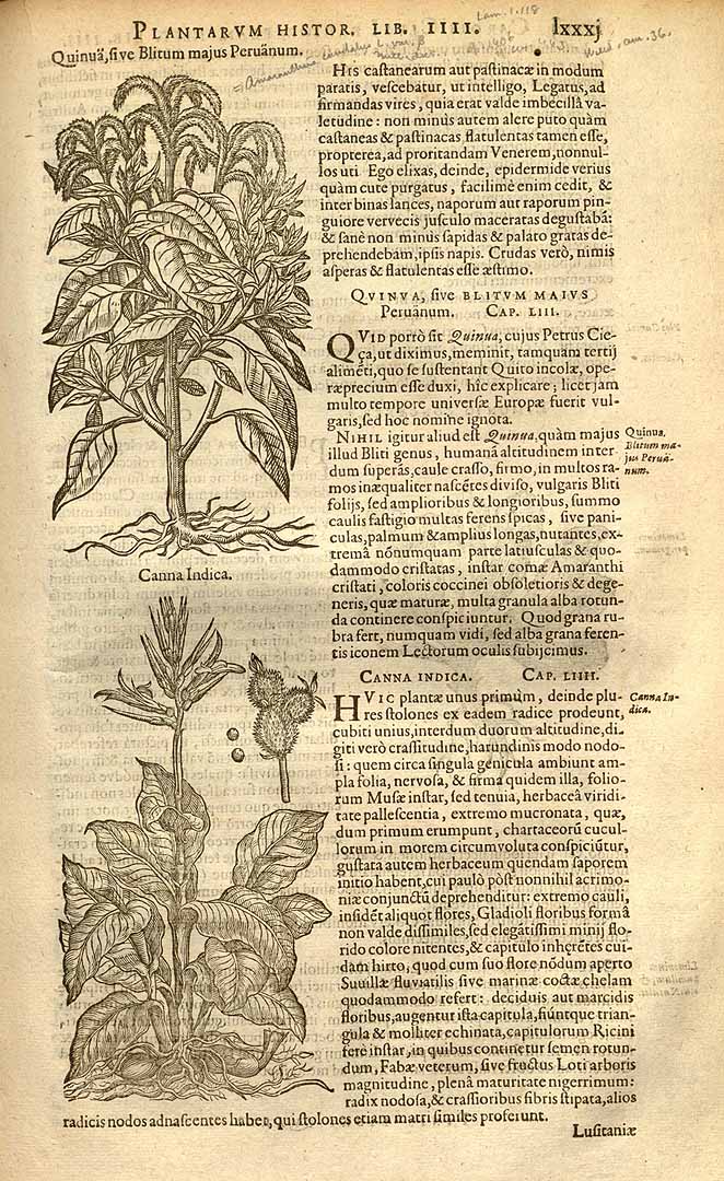 no HD illustration available (3)