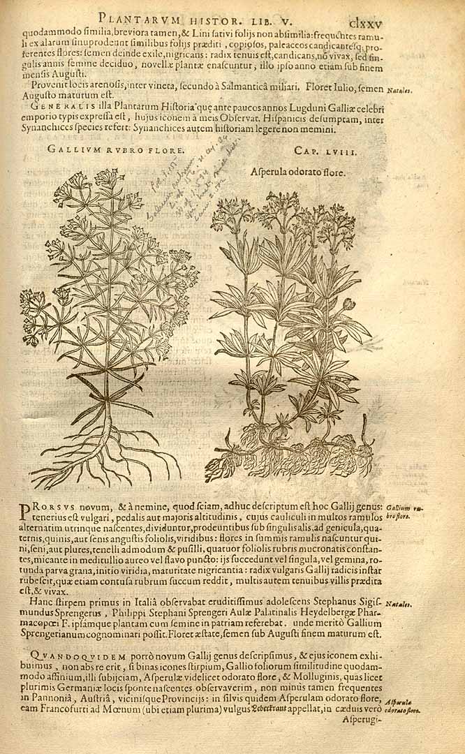 no HD illustration available (3)