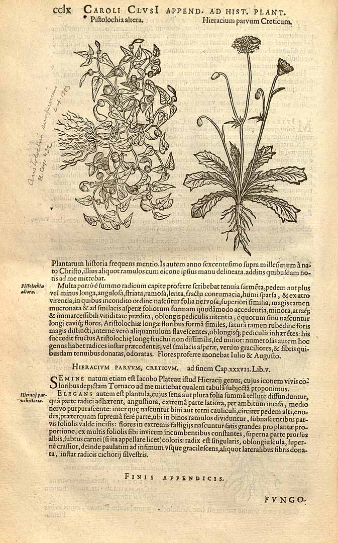 no HD illustration available (3)