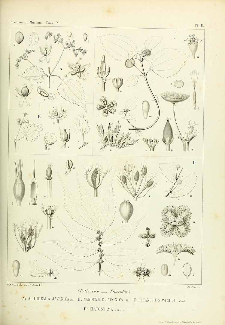 no HD illustration available (3)