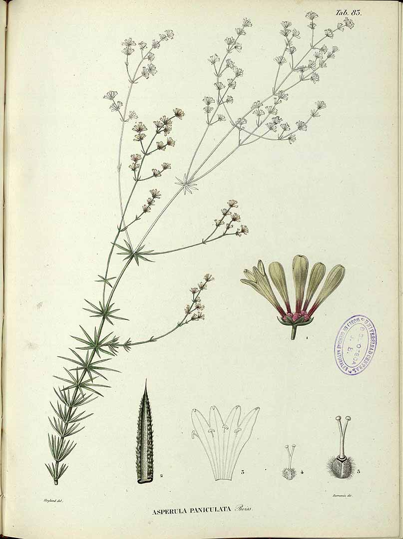 no HD illustration available (3)