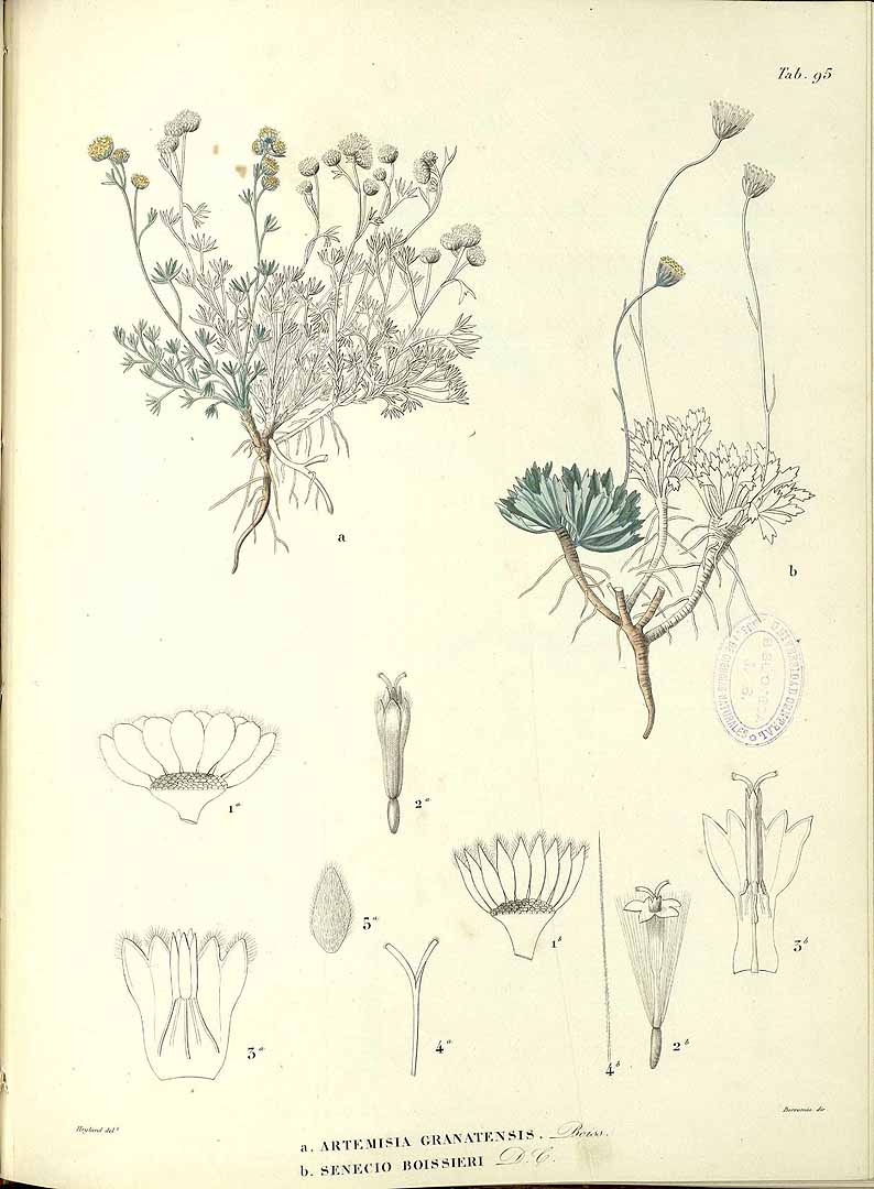 no HD illustration available (3)