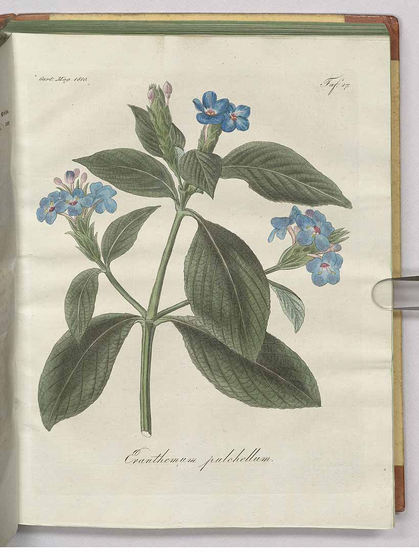 no HD illustration available (3)