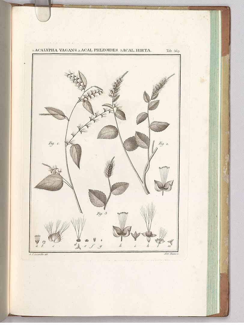 no HD illustration available (3)