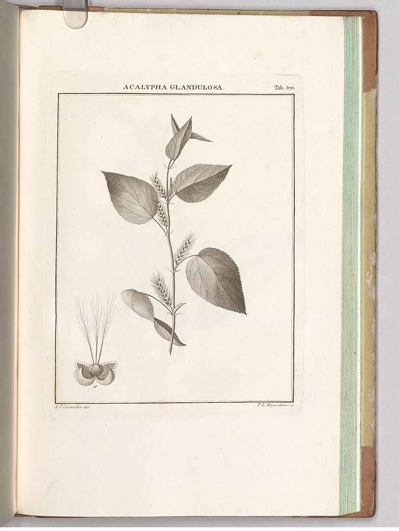 no HD illustration available (3)