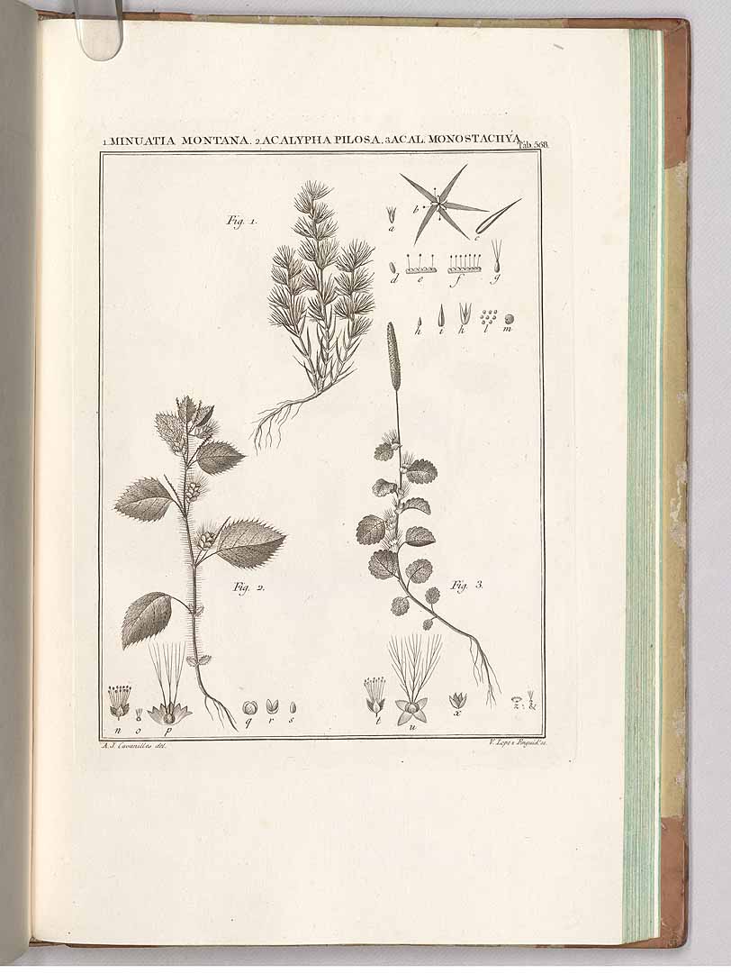 no HD illustration available (3)