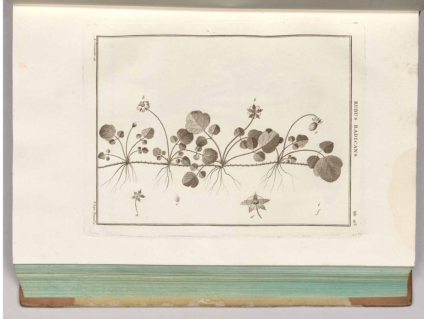 no HD illustration available (3)