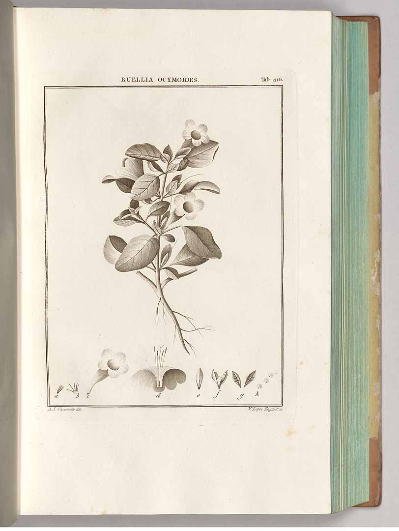 no HD illustration available (3)