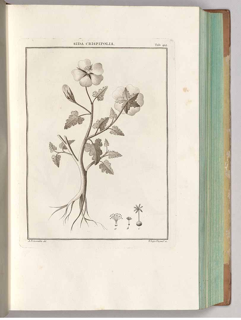 no HD illustration available (3)