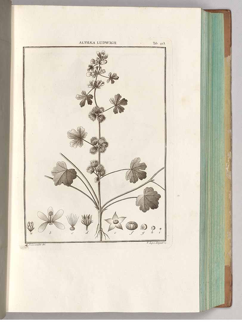 no HD illustration available (3)