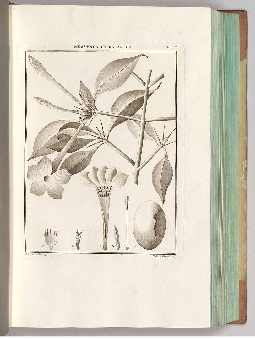 no HD illustration available (3)