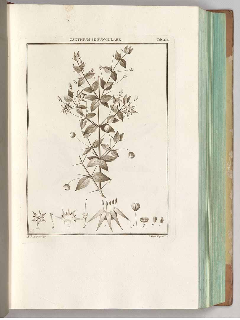 no HD illustration available (3)