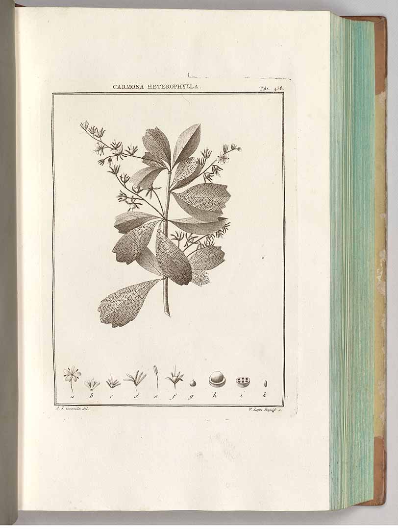 no HD illustration available (3)