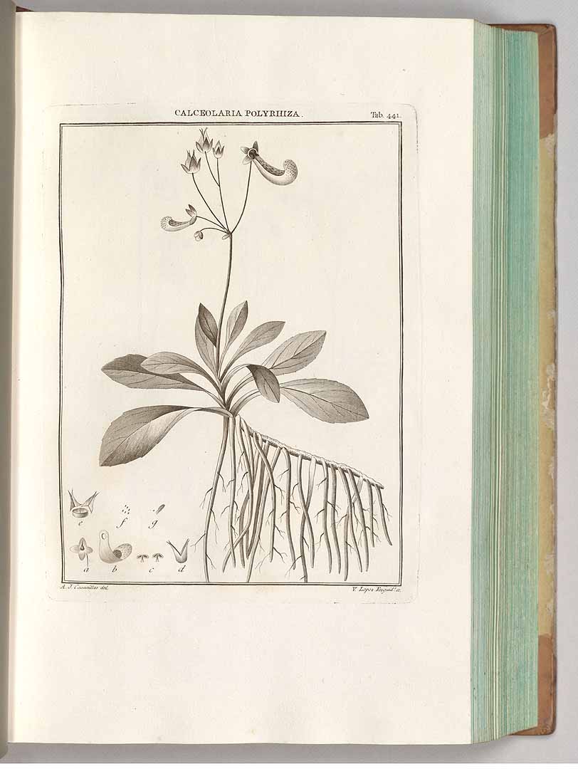 no HD illustration available (3)