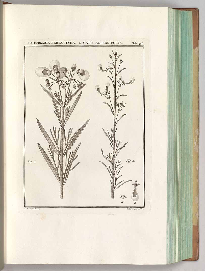 no HD illustration available (3)