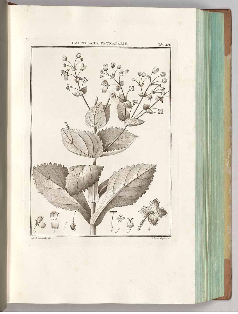 no HD illustration available (3)