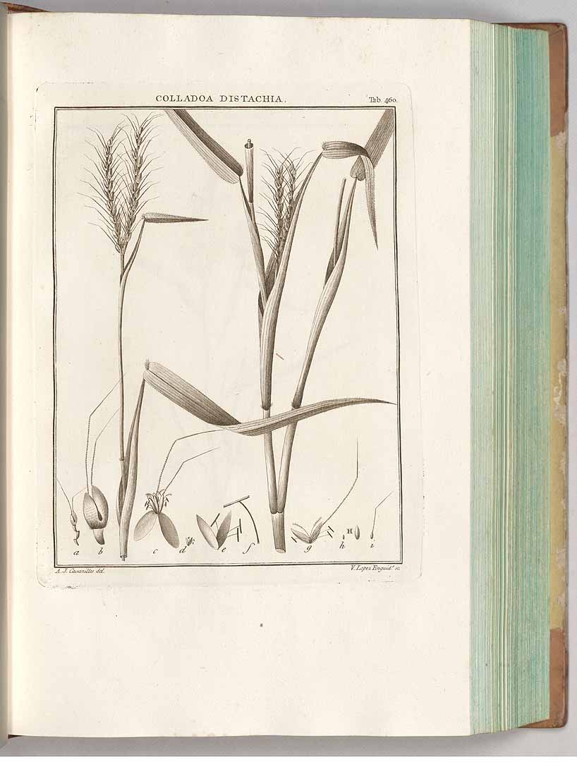 no HD illustration available (3)