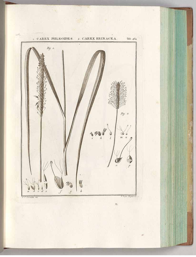 no HD illustration available (3)