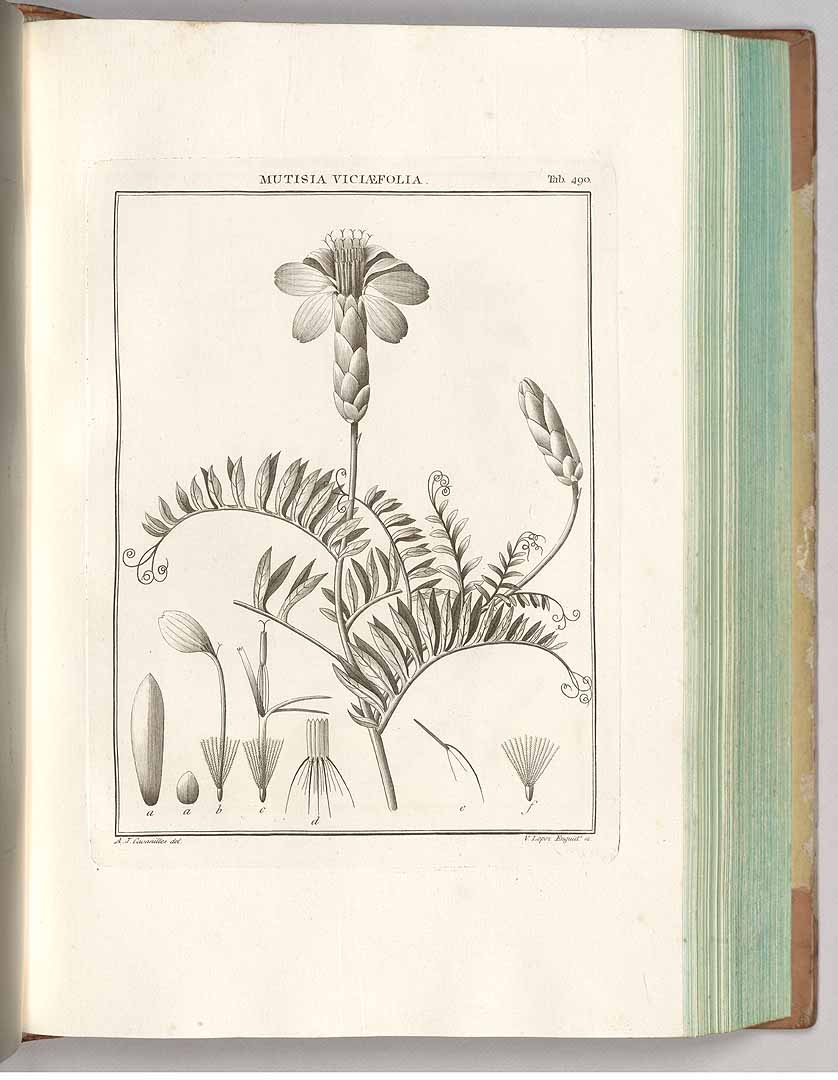 no HD illustration available (3)