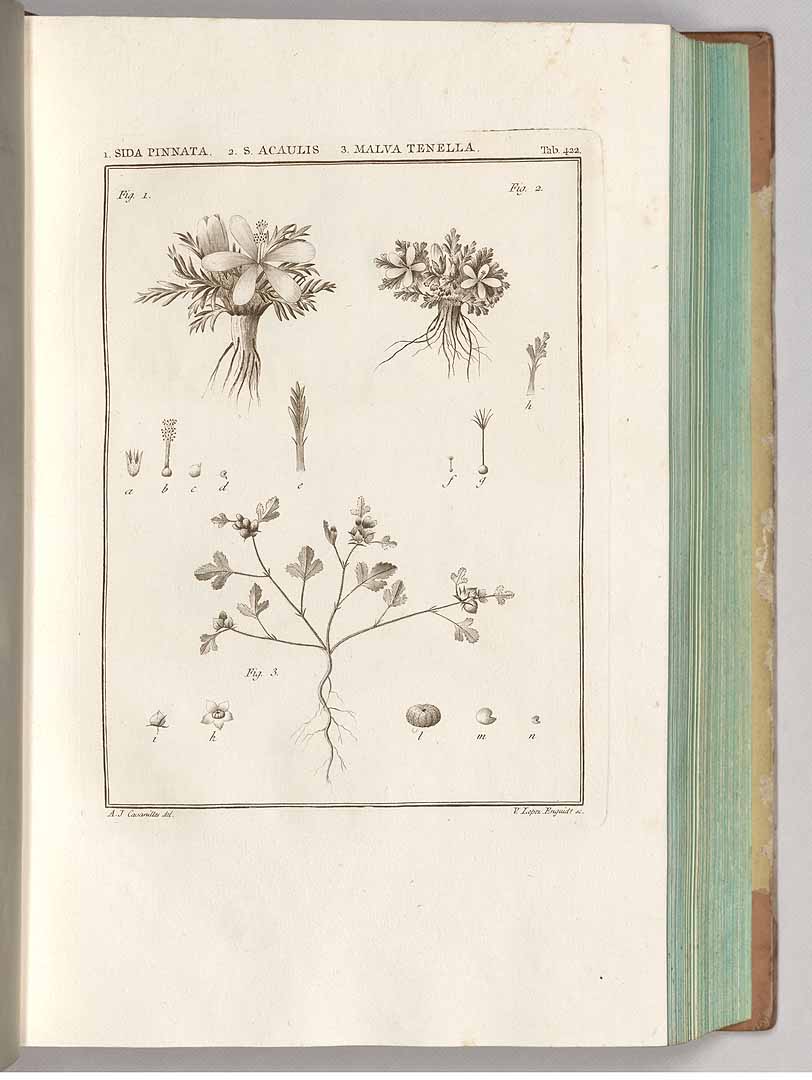 no HD illustration available (3)