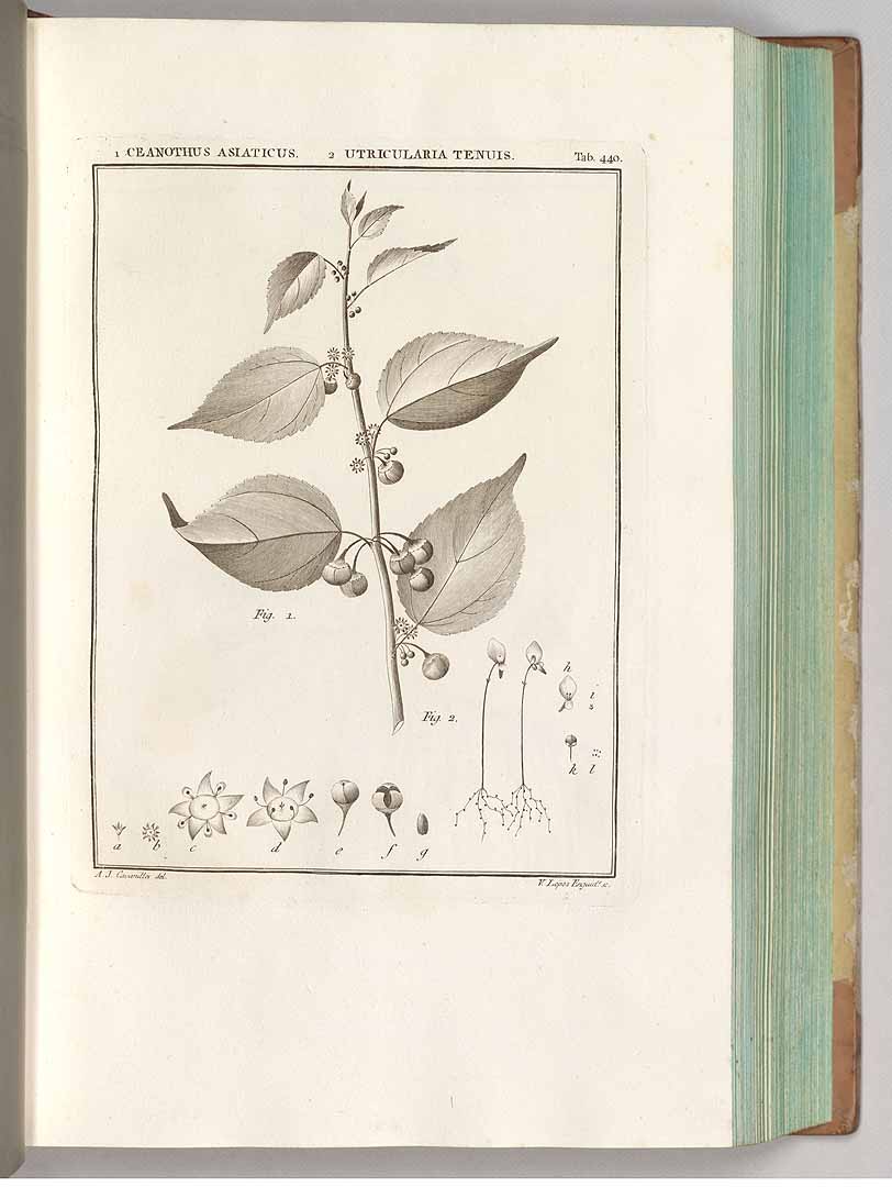 no HD illustration available (3)