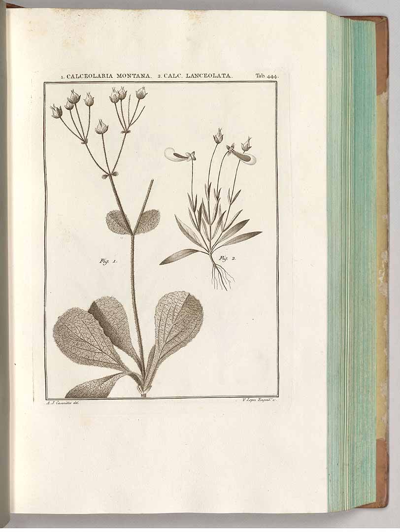 no HD illustration available (3)