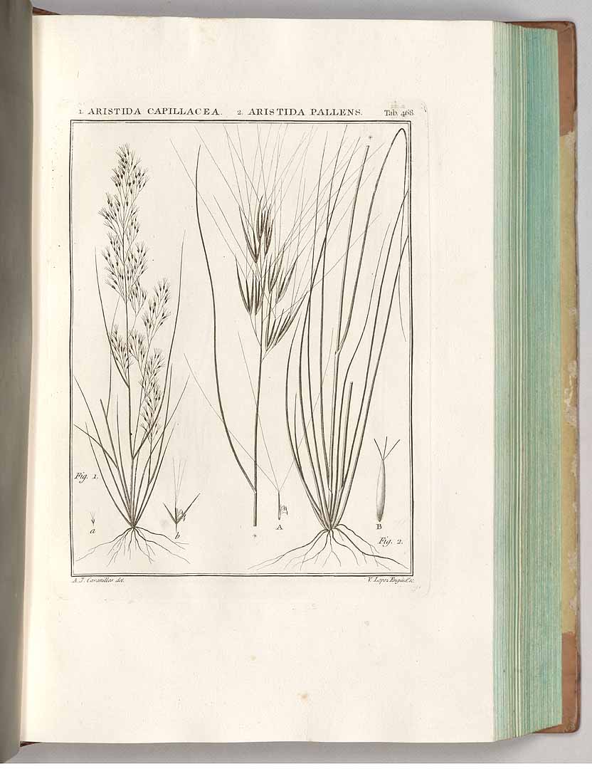 no HD illustration available (3)