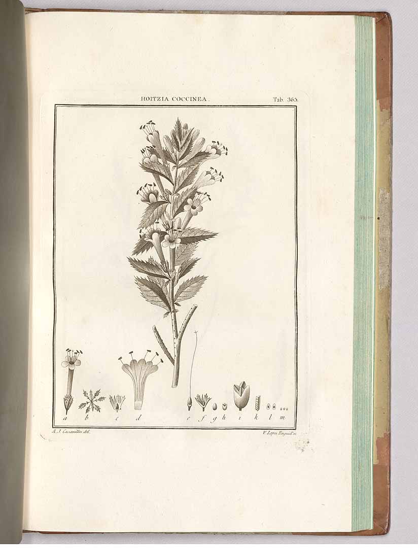 no HD illustration available (3)