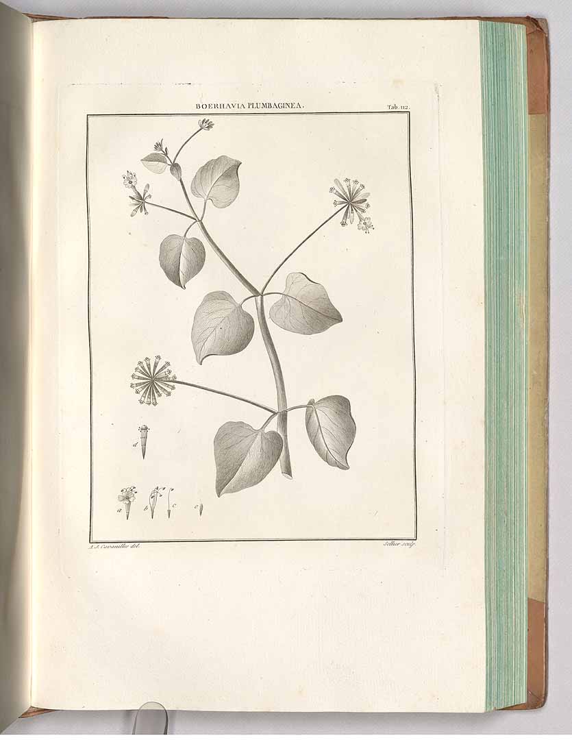 no HD illustration available (3)